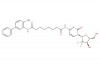 N1-(4-amino-[1,1'-biphenyl]-3-yl)-N8-(1-((2R,4R,5R)-3,3-difluoro-4-hydroxy-5-(hydroxymethyl)tetrahydrofuran-2-yl)-2-oxo-1,2-dihydropyrimidin-4-yl)octanediamide