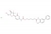 6-((4-amino-[1,1'-biphenyl]-3-yl)amino)-6-oxohexyl (1-((2R,4R,5R)-3,3-difluoro-4-hydroxy-5-(hydroxymethyl)tetrahydrofuran-2-yl)-2-oxo-1,2-dihydropyrimidin-4-yl)carbamate hydrochloride