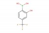 2-hydroxy-4-(trifluoromethyl)phenylboronic acid