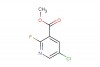 5-chloro-2-fluoronicotinic acid methyl ester