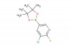 3-chloro-2-fluoro-5-(4,4,5,5-tetramethyl-1,3,2-dioxaborolan-2-yl)pyridine