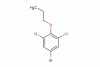 1-bromo-3,5-dichloro-4-propoxybenzene