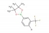 2-(4-bromo-3-(trifluoromethyl)phenyl)-4,4,5,5-tetramethyl-1,3,2-dioxaborolane