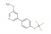 3-methoxy-5-[4-(trifluoromethoxy)phenyl]pyridine