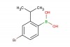 4-bromo-2-isopropylphenylboronic acid