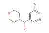 (5-bromopyridin-3-yl)-morpholin-4-yl-methanone