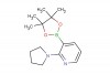 2-(pyrrolidin-1-yl)-3-(4,4,5,5-tetramethyl-1,3,2-dioxaborolan-2-yl)pyridine