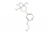 3-(methoxymethyl)-5-(4,4,5,5-tetramethyl-1,3,2-dioxaborolan-2-yl)pyridine
