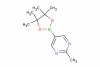 2-methyl-5-(4,4,5,5-tetramethyl-1,3,2-dioxaborolan-2-yl)pyrimidine