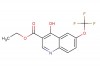 ethyl 4-hydroxy-6-(trifluoromethoxy)quinoline-3-carboxylate