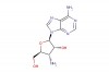 3'-amino-3'-deoxyadenosine