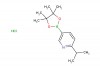 2-isopropyl-5-(4,4,5,5-tetramethyl-1,3,2-dioxaborolan-2-yl)pyridine hydrochloride