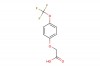 2-(4-(trifluoromethoxy)phenoxy)acetic acid