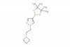 1-(2-(azetidin-1-yl)ethyl)-4-(4,4,5,5-tetramethyl-1,3,2-dioxaborolan-2-yl)-1H-pyrazole