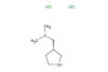 (S)-N,N-dimethyl-1-(pyrrolidin-3-yl)methanamine dihydrochloride