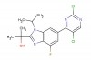 2-(6-(2,5-dichloropyrimidin-4-yl)-4-fluoro-1-isopropyl-1H-benzo[d]imidazol-2-yl)propan-2-ol
