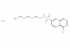 W-7 isomer hydrochloride