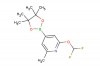 2-(difluoromethoxy)-6-methyl-4-(4,4,5,5-tetramethyl-1,3,2-dioxaborolan-2-yl)pyridine