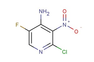 2-chloro-5-fluoro-3-nitropyridin-4-amine
