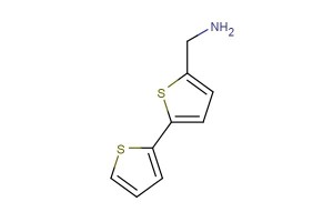 2,2'-bithiophen-5-ylmethanamine