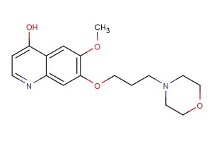 6-methoxy-7-(3-morpholinopropoxy)quinolin-4-ol