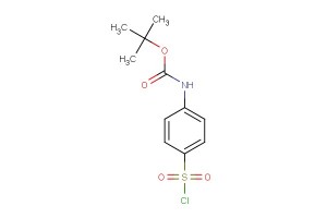 tert-butyl 4-(chlorosulfonyl)phenylcarbamate
