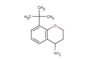 8-tert-butylchroman-4-amine