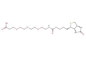 Biotin-PEG3-propionic acid