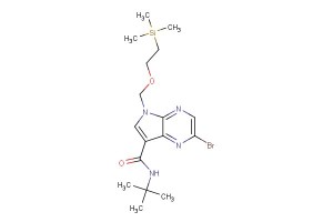 2-bromo-N-(tert-butyl)-5-((2-(trimethylsilyl)ethoxy)methyl)-5H-pyrrolo[2,3-b]pyrazine-7-carboxamide