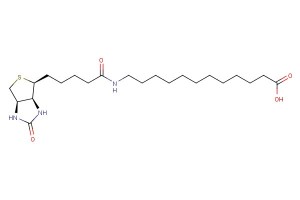 12-(5-((3aS,4S,6aR)-2-oxohexahydro-1H-thieno[3,4-d]imidazol-4-yl)pentanamido)dodecanoic acid