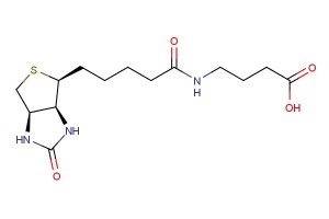 4-(5-((3aS,4S,6aR)-2-oxohexahydro-1H-thieno[3,4-d]imidazol-4-yl)pentanamido)butanoic acid