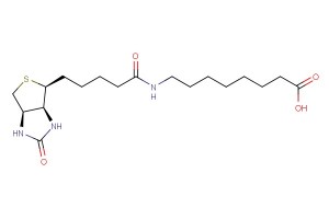 8-(5-((3aS,4S,6aR)-2-oxohexahydro-1H-thieno[3,4-d]imidazol-4-yl)pentanamido)octanoic acid