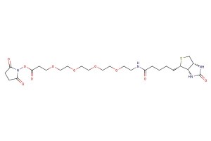 2,5-dioxopyrrolidin-1-yl 17-oxo-21-((3aS,4S,6aR)-2-oxohexahydro-1H-thieno[3,4-d]imidazol-4-yl)-4,7,10,13-tetraoxa-16-azahenicosan-1-oate