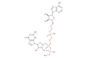 Guanosine-5'-triphosphate-5'-Adenosine