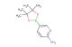 5-(4,4,5,5-tetramethyl-1,3,2-dioxaborolan-2-yl)pyridin-2-amine