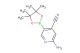 2-amino-5-(4,4,5,5-tetramethyl-1,3,2-dioxaborolan-2-yl)isonicotinonitrile