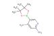 5-(4,4,5,5-tetramethyl-1,3,2-dioxaborolan-2-yl)pyridine-2,4-diamine