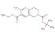 6-tert-butyl 3-ethyl 2-amino-7,8-dihydro-1,6-naphthyridine-3,6(5H)-dicarboxylate