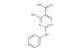 4-hydroxy-2-(phenylamino)pyrimidine-5-carboxylic acid
