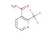 2-(trifluoromethyl)nicotinamide