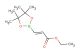 (E)-ethyl 3-(4,4,5,5-tetramethyl-1,3,2-dioxaborolan-2-yl)acrylate