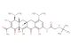 Tigecycline  (Synonyms: GAR-936)