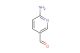 6-aminonicotinaldehyde