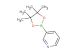 3-(4,4,5,5-tetramethyl-1,3,2-dioxaborolan-2-yl)pyridine