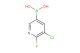 5-chloro-6-fluoropyridin-3-ylboronic acid