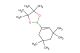 4,4,5,5-tetramethyl-2-(3,3,5,5-tetramethylcyclohex-1-enyl)-1,3,2-dioxaborolane