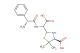 (4S)-2-(((R)-2-amino-2-phenylacetamido)(carboxy)methyl)-5,5-dimethylthiazolidine-4-carboxylic acid