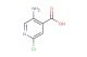 5-amino-2-chloroisonicotinic acid