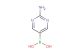 2-amino-pyrimidine-5-boronic acid