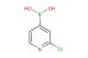 2-chloro-4-pyridylboronic acid
